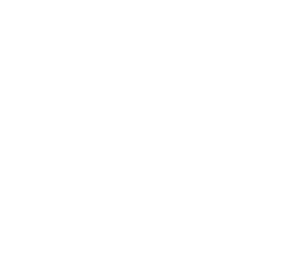 Fibetelecom